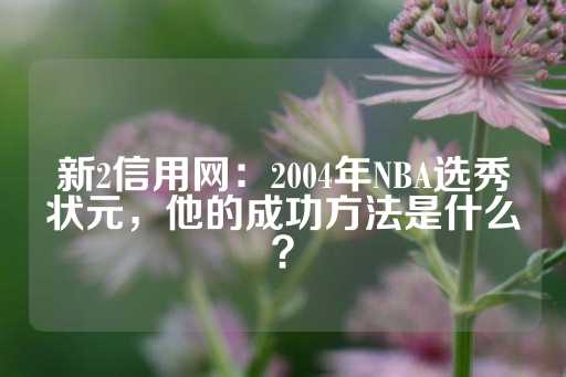 新2信用网：2004年NBA选秀状元，他的成功方法是什么？-第1张图片-皇冠信用盘出租