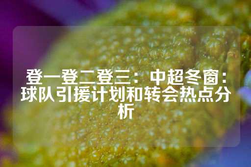 登一登二登三：中超冬窗：球队引援计划和转会热点分析-第1张图片-皇冠信用盘出租