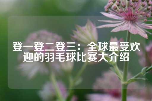 登一登二登三：全球最受欢迎的羽毛球比赛大介绍