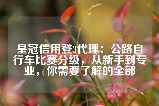 皇冠信用登3代理：公路自行车比赛分级，从新手到专业，你需要了解的全部