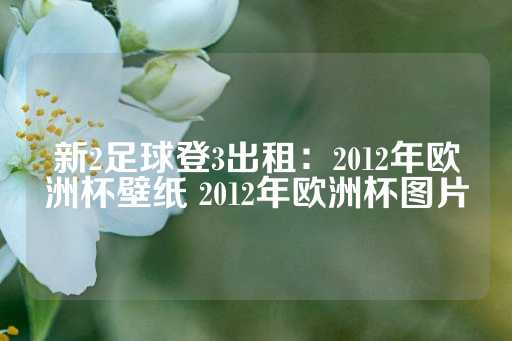 新2足球登3出租：2012年欧洲杯壁纸 2012年欧洲杯图片-第1张图片-皇冠信用盘出租