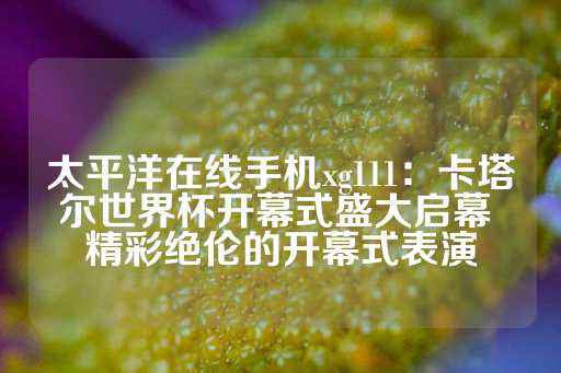 太平洋在线手机xg111：卡塔尔世界杯开幕式盛大启幕 精彩绝伦的开幕式表演