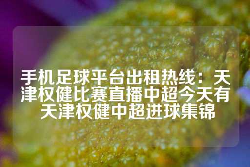 手机足球平台出租热线：天津权健比赛直播中超今天有 天津权健中超进球集锦