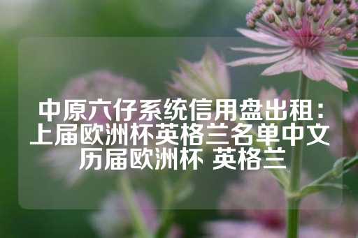 中原六仔系统信用盘出租：上届欧洲杯英格兰名单中文 历届欧洲杯 英格兰