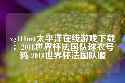 xg111net太平洋在线游戏下载：2018世界杯法国队球衣号码 2018世界杯法国队服