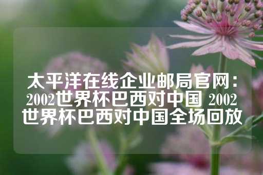 太平洋在线企业邮局官网：2002世界杯巴西对中国 2002世界杯巴西对中国全场回放