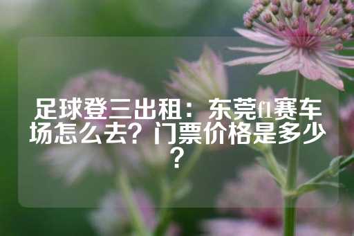 足球登三出租：东莞f1赛车场怎么去？门票价格是多少？-第1张图片-皇冠信用盘出租