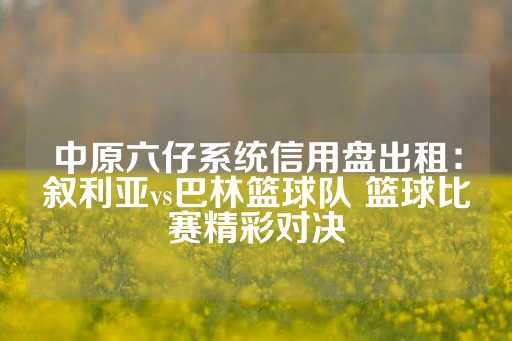 中原六仔系统信用盘出租：叙利亚vs巴林篮球队 篮球比赛精彩对决