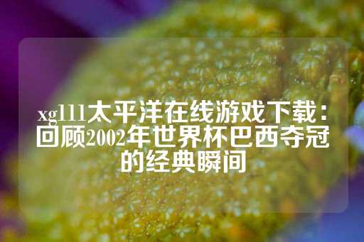 xg111太平洋在线游戏下载：回顾2002年世界杯巴西夺冠的经典瞬间