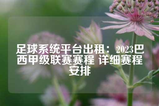 足球系统平台出租：2023巴西甲级联赛赛程 详细赛程安排