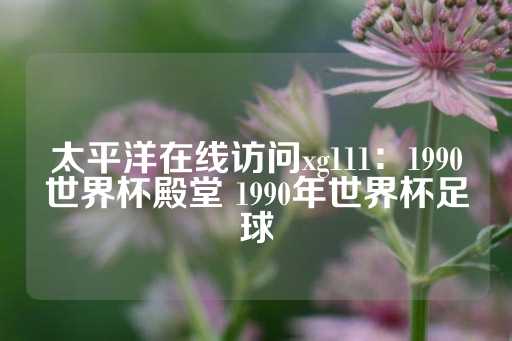 太平洋在线访问xg111：1990世界杯殿堂 1990年世界杯足球-第1张图片-皇冠信用盘出租