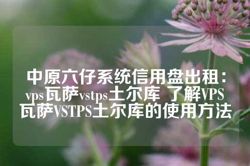 中原六仔系统信用盘出租：vps瓦萨vstps土尔库 了解VPS瓦萨VSTPS土尔库的使用方法