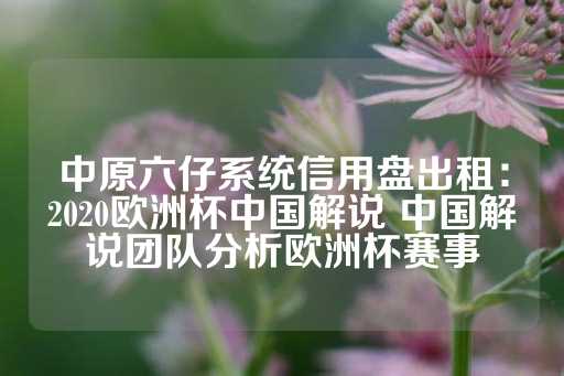 中原六仔系统信用盘出租：2020欧洲杯中国解说 中国解说团队分析欧洲杯赛事