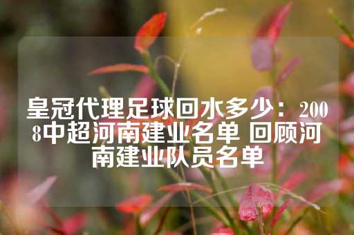 皇冠代理足球回水多少：2008中超河南建业名单 回顾河南建业队员名单-第1张图片-皇冠信用盘出租