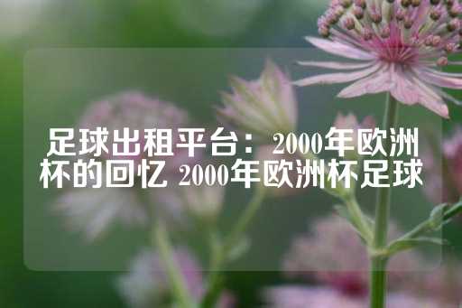 足球出租平台：2000年欧洲杯的回忆 2000年欧洲杯足球-第1张图片-皇冠信用盘出租