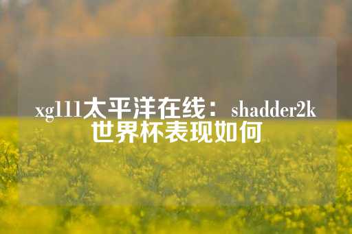 xg111太平洋在线：shadder2k世界杯表现如何