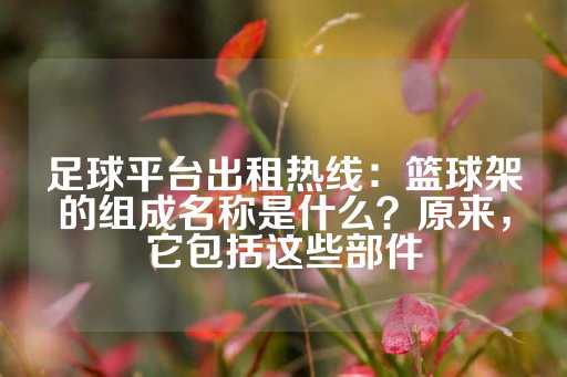 足球平台出租热线：篮球架的组成名称是什么？原来，它包括这些部件-第1张图片-皇冠信用盘出租