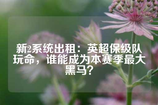 新2系统出租：英超保级队玩命，谁能成为本赛季最大黑马？