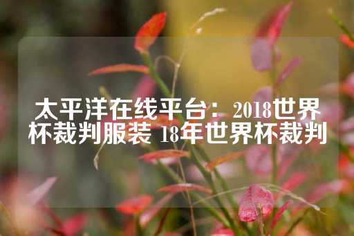 太平洋在线平台：2018世界杯裁判服装 18年世界杯裁判-第1张图片-皇冠信用盘出租