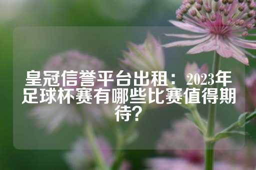 皇冠信誉平台出租：2023年足球杯赛有哪些比赛值得期待？-第1张图片-皇冠信用盘出租