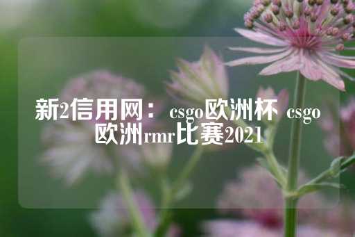 新2信用网：csgo欧洲杯 csgo欧洲rmr比赛2021