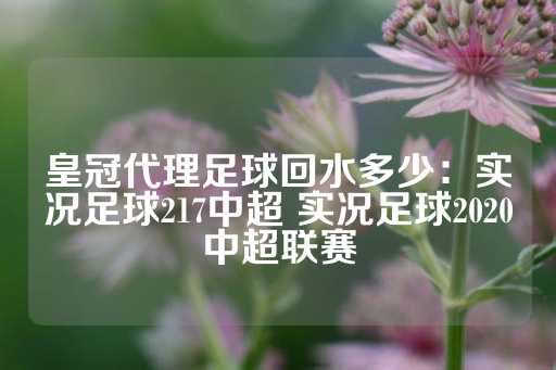 皇冠代理足球回水多少：实况足球217中超 实况足球2020中超联赛-第1张图片-皇冠信用盘出租