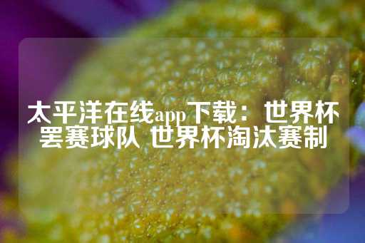 太平洋在线app下载：世界杯罢赛球队 世界杯淘汰赛制