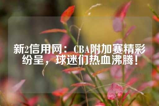 新2信用网：CBA附加赛精彩纷呈，球迷们热血沸腾！