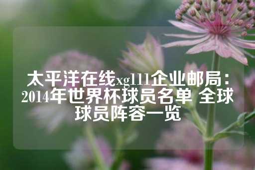 太平洋在线xg111企业邮局：2014年世界杯球员名单 全球球员阵容一览-第1张图片-皇冠信用盘出租