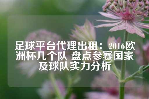 足球平台代理出租：2016欧洲杯几个队 盘点参赛国家及球队实力分析