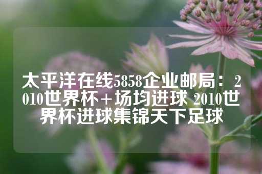 太平洋在线5858企业邮局：2010世界杯+场均进球 2010世界杯进球集锦天下足球