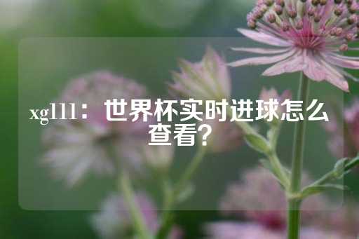 xg111：世界杯实时进球怎么查看？-第1张图片-皇冠信用盘出租