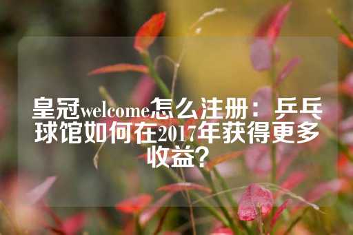 皇冠welcome怎么注册：乒乓球馆如何在2017年获得更多收益？-第1张图片-皇冠信用盘出租