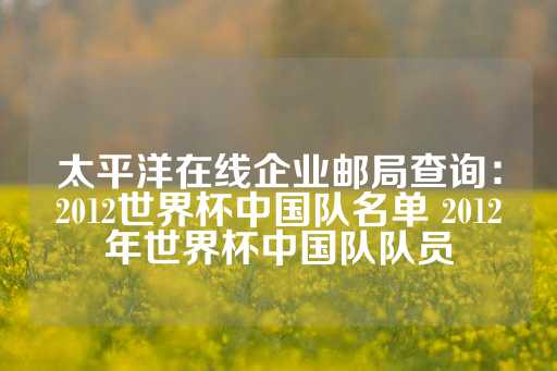 太平洋在线企业邮局查询：2012世界杯中国队名单 2012年世界杯中国队队员