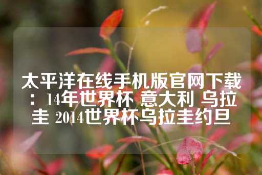 太平洋在线手机版官网下载：14年世界杯 意大利 乌拉圭 2014世界杯乌拉圭约旦-第1张图片-皇冠信用盘出租