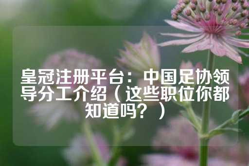 皇冠注册平台：中国足协领导分工介绍（这些职位你都知道吗？）-第1张图片-皇冠信用盘出租