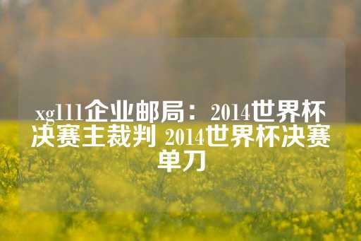 xg111企业邮局：2014世界杯决赛主裁判 2014世界杯决赛单刀-第1张图片-皇冠信用盘出租