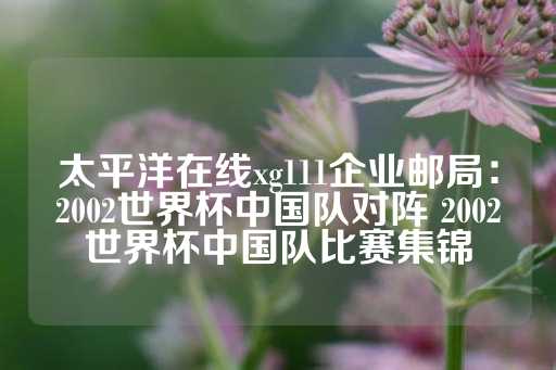 太平洋在线xg111企业邮局：2002世界杯中国队对阵 2002世界杯中国队比赛集锦