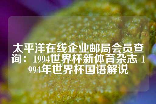 太平洋在线企业邮局会员查询：1994世界杯新体育杂志 1994年世界杯国语解说