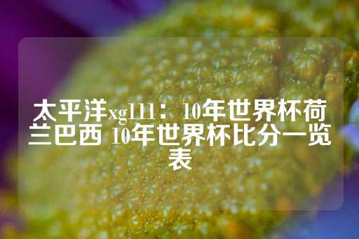 太平洋xg111：10年世界杯荷兰巴西 10年世界杯比分一览表