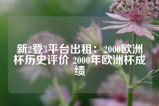 新2登3平台出租：2000欧洲杯历史评价 2000年欧洲杯成绩