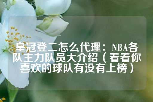 皇冠登二怎么代理：NBA各队主力队员大介绍（看看你喜欢的球队有没有上榜）-第1张图片-皇冠信用盘出租