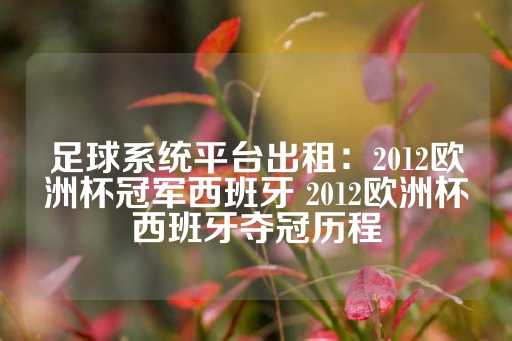 足球系统平台出租：2012欧洲杯冠军西班牙 2012欧洲杯西班牙夺冠历程