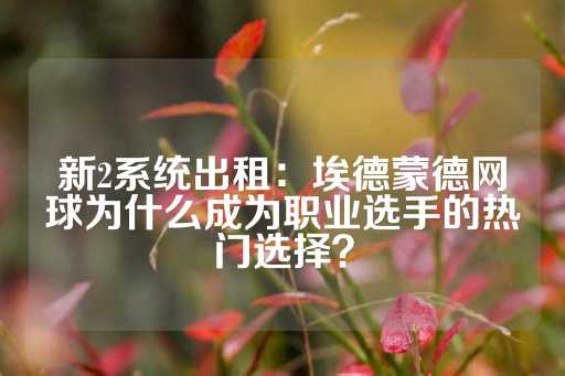 新2系统出租：埃德蒙德网球为什么成为职业选手的热门选择？-第1张图片-皇冠信用盘出租