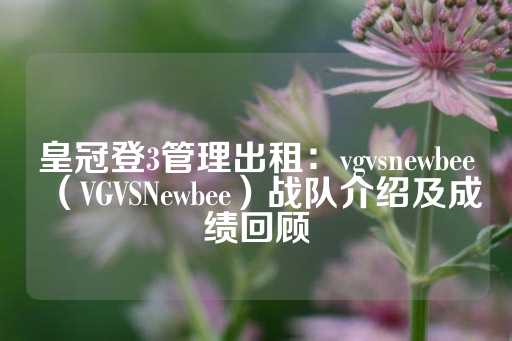 皇冠登3管理出租：vgvsnewbee（VGVSNewbee）战队介绍及成绩回顾