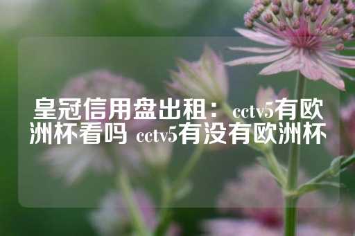 皇冠信用盘出租：cctv5有欧洲杯看吗 cctv5有没有欧洲杯