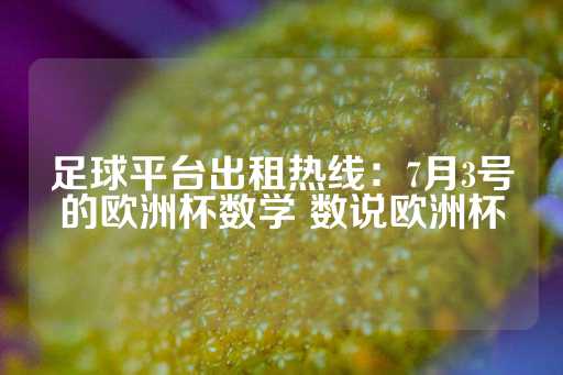 足球平台出租热线：7月3号的欧洲杯数学 数说欧洲杯-第1张图片-皇冠信用盘出租