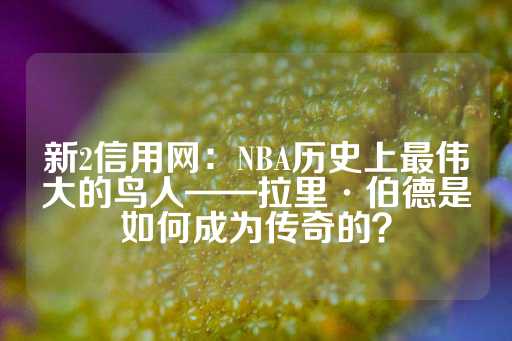 新2信用网：NBA历史上最伟大的鸟人——拉里·伯德是如何成为传奇的？