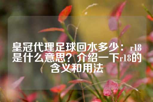 皇冠代理足球回水多少：r18是什么意思？介绍一下r18的含义和用法-第1张图片-皇冠信用盘出租