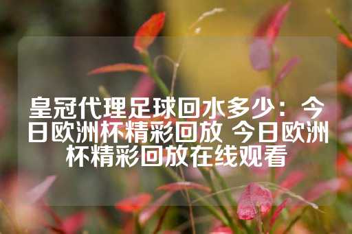 皇冠代理足球回水多少：今日欧洲杯精彩回放 今日欧洲杯精彩回放在线观看-第1张图片-皇冠信用盘出租